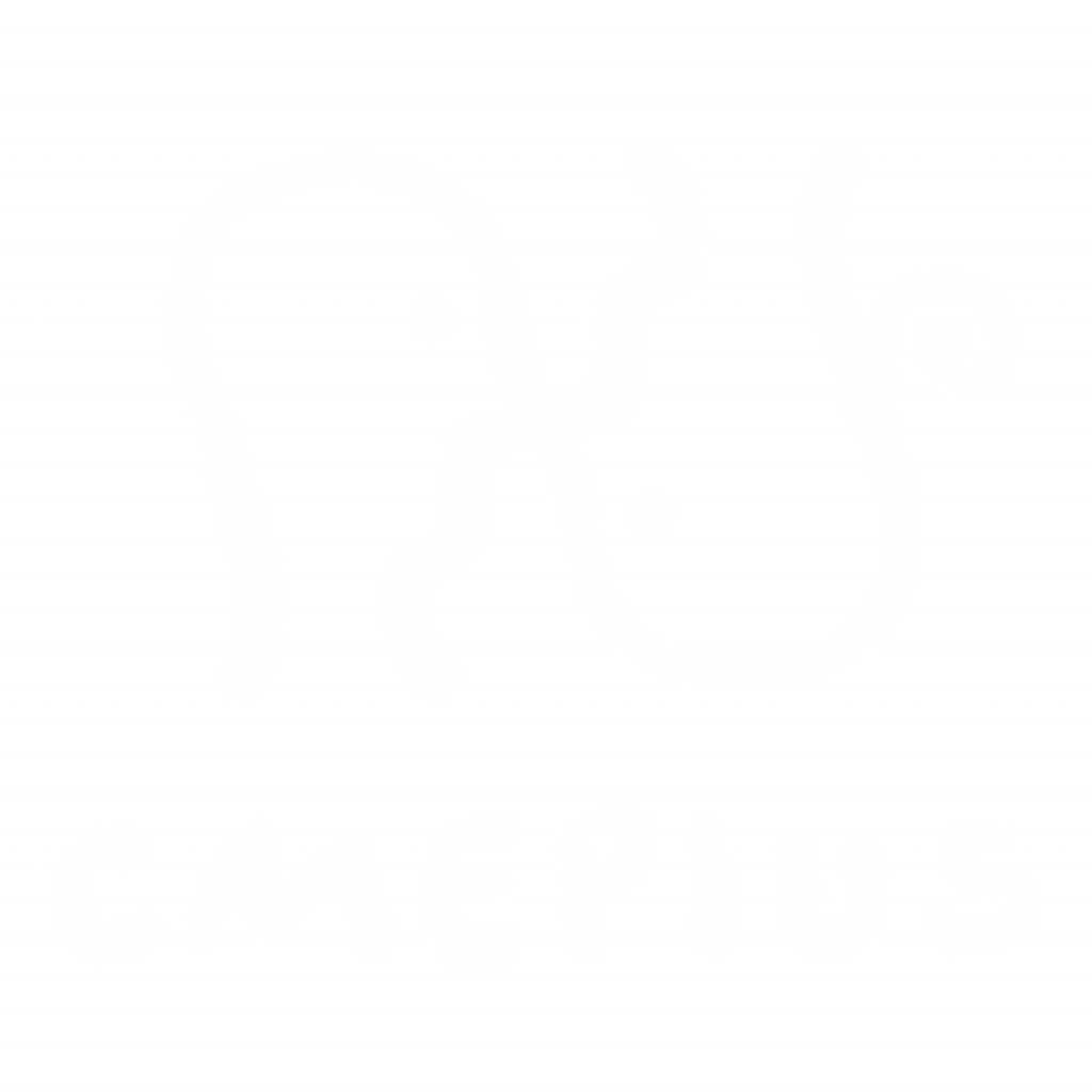 CMEPIUS logo BEL
