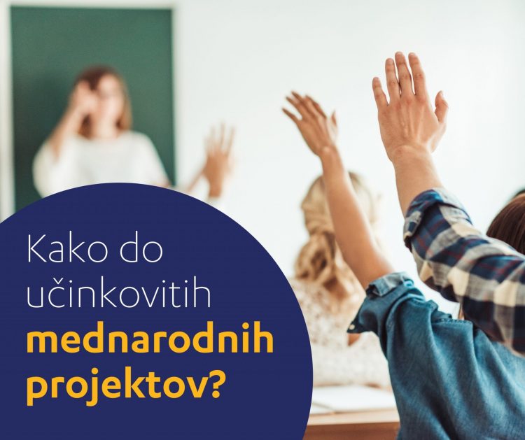Pot do internacionalizacije VIZ skozi učinkovite mednarodne projekte – 2. del